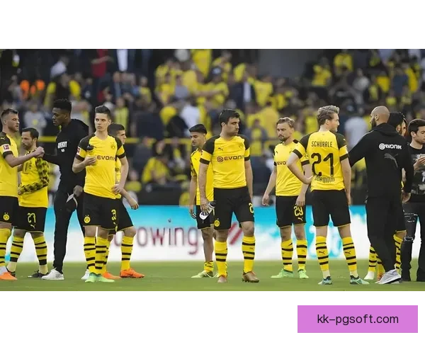 多特蒙德奋战温布利惜败荣获欧冠亚军纪实